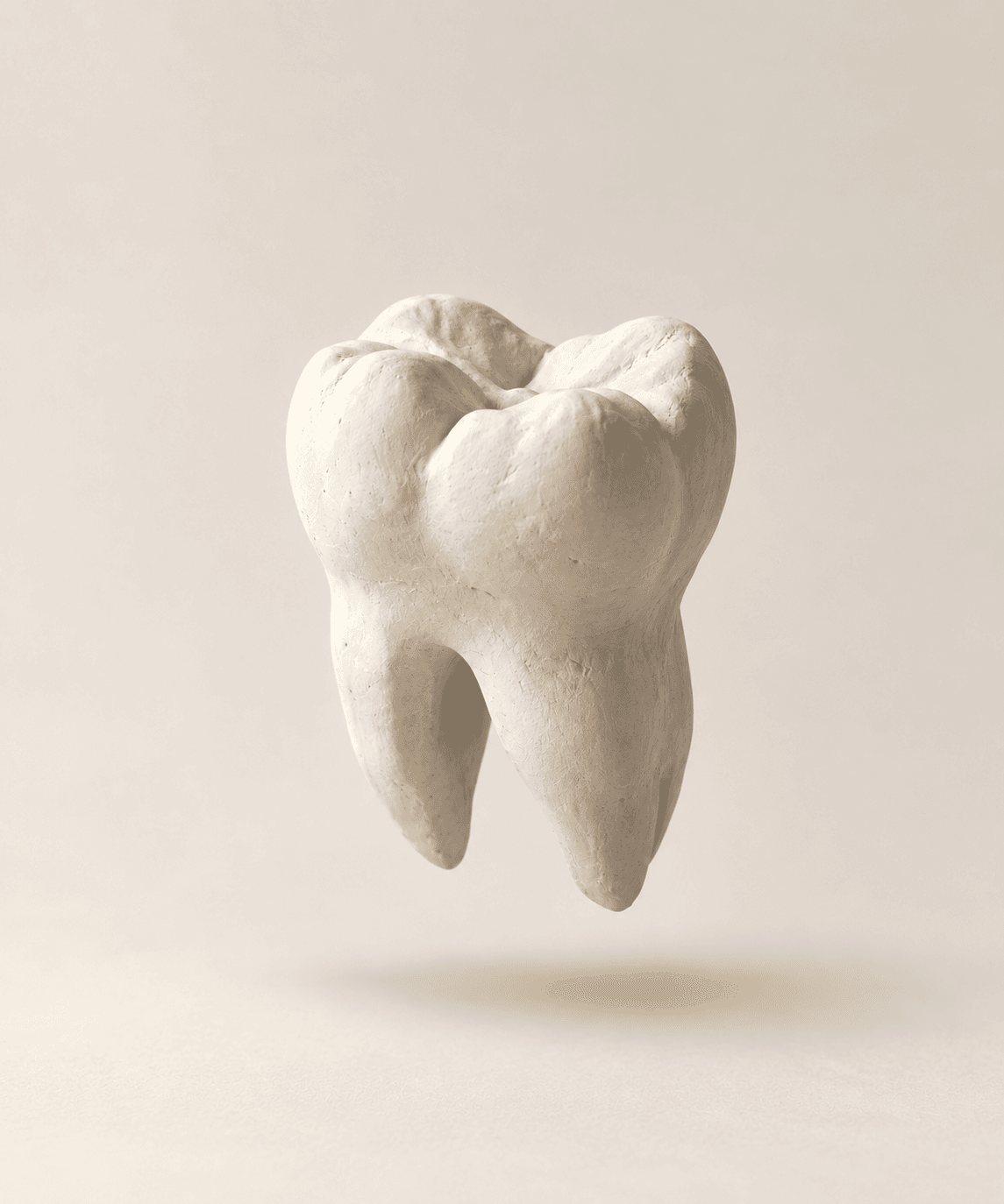 Ivory Dentistry — sculptural ivory tooth