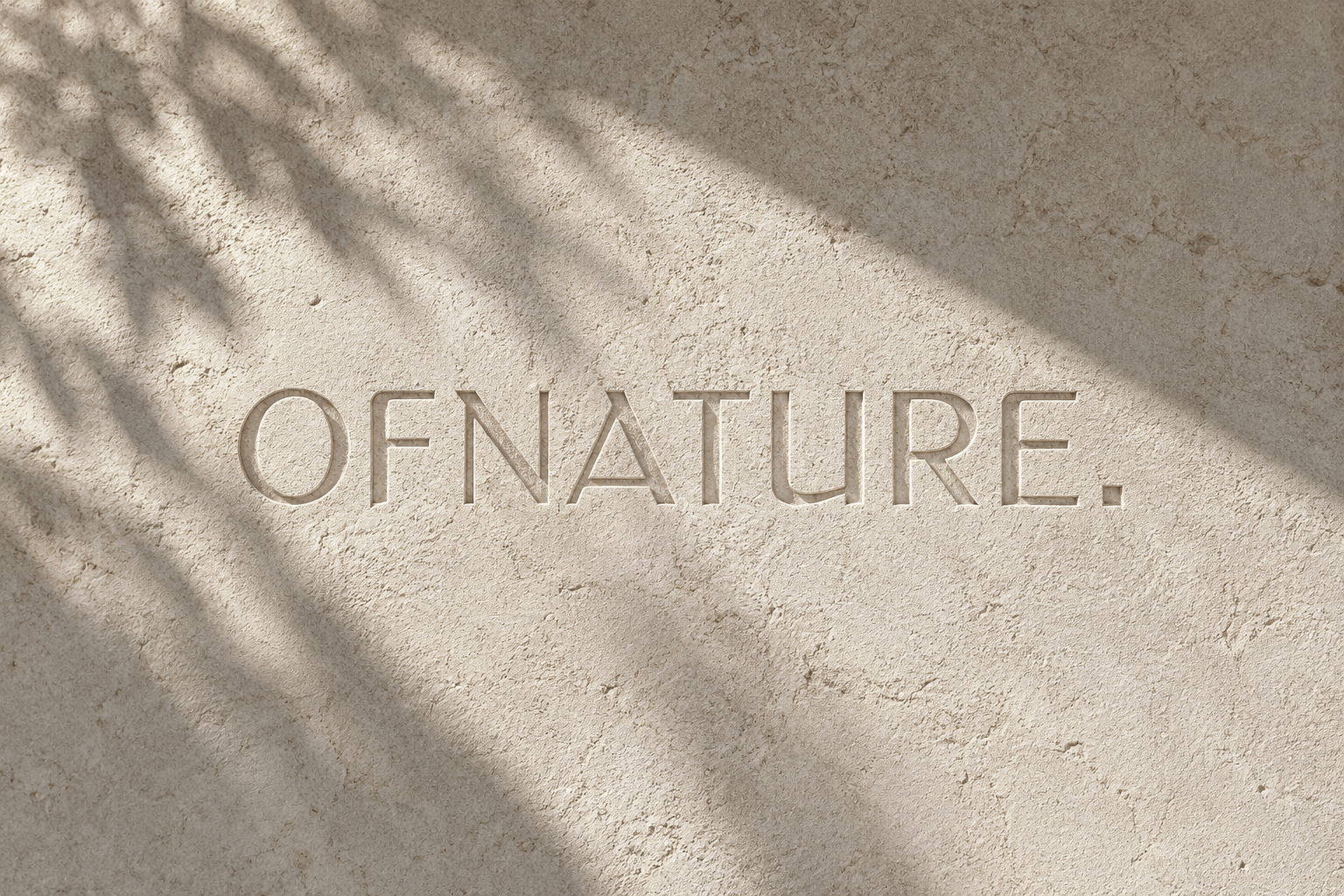 OF NATURE wordmark engraved into a sunlit textured wall