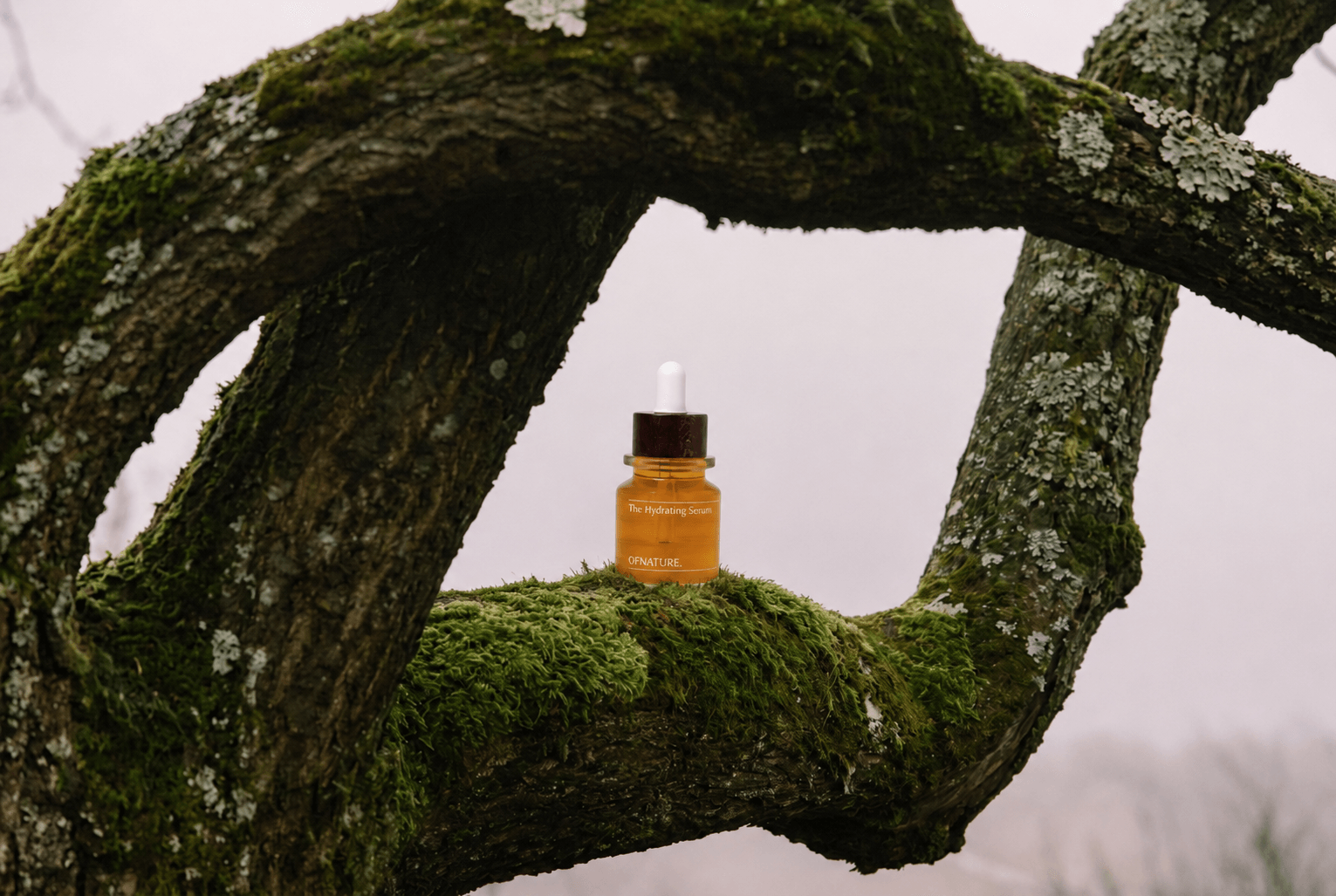 OF NATURE hydrating serum nestled on a moss-covered tree